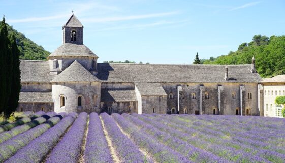 abbaye-de-senanque-1595627_960_720 abbaye-de-senanque-1595627_960_720